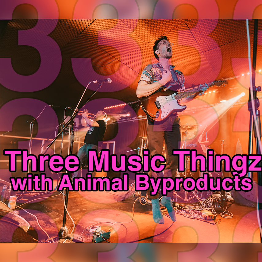 Three Music Thingz with Animal Byproducts