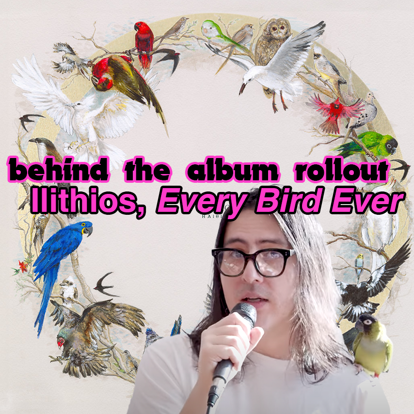 behind the 'Every Bird Ever' album rollout with Ilithios
